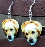 Golden Retriever Guitar Pick Earrings