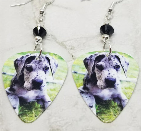 Great Dane Puppy Guitar Pick Earrings with Black Swarovski Crystals