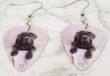 Neapolitan Mastiff Guitar Pick Earrings