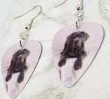 Neapolitan Mastiff Guitar Pick Earrings