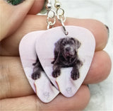 Neapolitan Mastiff Guitar Pick Earrings