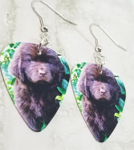 Newfoundland Puppy Guitar Pick Earrings