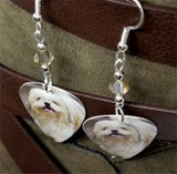 Shih Tzu Guitar Pick Earrings with Tan Swarovski Crystals