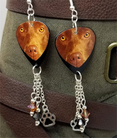 Chocolate Lab Guitar Pick Earrings with Paw Print Charm and Swarovski Crystal Dangles