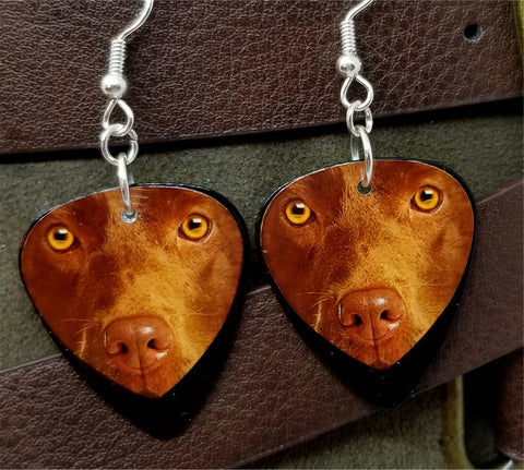 Chocolate Lab Guitar Pick Earrings