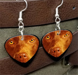 Chocolate Lab Guitar Pick Earrings