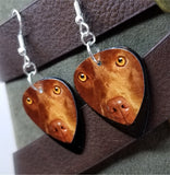 Chocolate Lab Guitar Pick Earrings