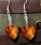 Chocolate Lab Guitar Pick Earrings with Clear Swarovski Crystals