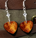 Chocolate Lab Guitar Pick Earrings with Clear Swarovski Crystals