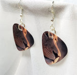 Lion Profile Guitar Pick Earrings