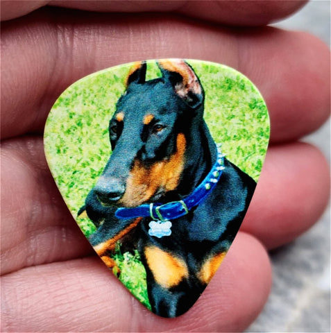 Doberman Pinscher Guitar Pick Pin or Tie Tack