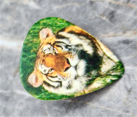 Tiger in Grass Guitar Pick Pin or Tie Tack