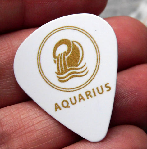 Horoscope Astrological Sign Aquarius Guitar Pick Pin or Tie Tack