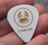 Horoscope Astrological Sign Cancer Guitar Pick Pin or Tie Tack