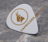 Horoscope Astrological Sign Capricorn Guitar Pick Pin or Tie Tack