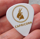 Horoscope Astrological Sign Capricorn Guitar Pick Pin or Tie Tack