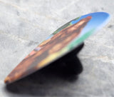 The Wizard of Oz Cowardly Lion Guitar Pick Lapel Pin or Tie Tack