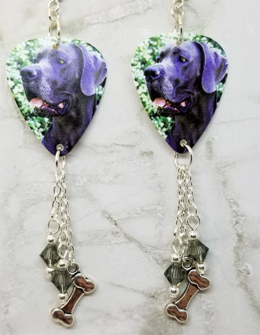 Great Dane Guitar Pick Earrings with Charm and Swarovski Crystal Dangles