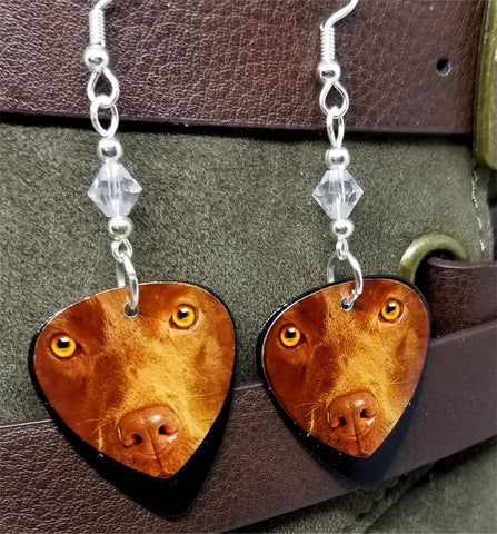 Chocolate Lab Guitar Pick Earrings with Clear Swarovski Crystals
