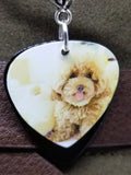 Fluffy Apricot Poodle Guitar Pick Necklace on Black Braided Cord